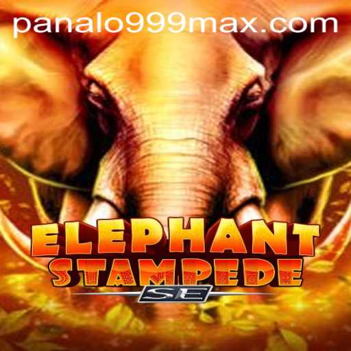 Discovering Elephant Stampede SE